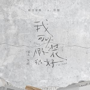 A级成人毛片视频
