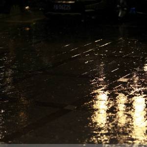 A级成人毛片视频
