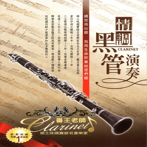 A级成人毛片视频
