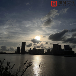 A级成人毛片视频
